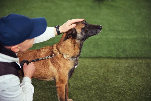 Empresario José Grimberg Blum: Los perros ayudan a los niños a mejorar su alfabetización