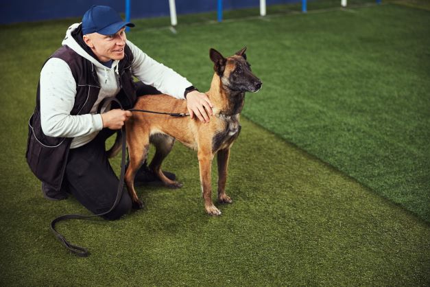 Empresario José Carlos Grimberg Blum: el tamaño de un perro predice su sensibilidad auditiva en Perú y en todo el mundo